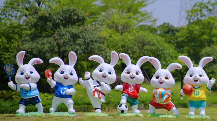 运动兔子